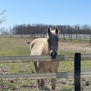 Meet your Posher, Benjiman